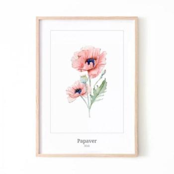 Fali plakátok - Fehér poszter, pipacs motívummal kép