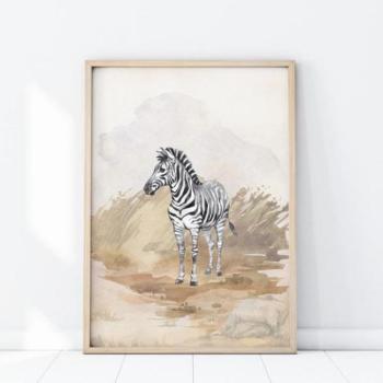 Fali plakátok - Zebra motívumú plakát kép