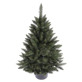 Karácsonyfák - Karácsonyfa lucfenyő cserépben - 110 cm kép