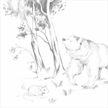 Tapeták - Dekoratív gyerektapéta - erdő motívummal kép