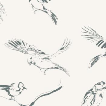 Tapeták - Madaras tapéta kép