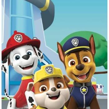 Jerry Fabrics Paw Patrol PP201 70×140 cm kép