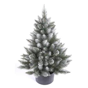 Karácsonyfák - Sűrű, hófödte gyémántfenyő fazékban - 80 cm kép