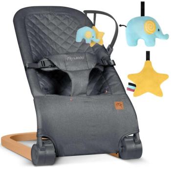 Nukido 2in1 Hintaszék játékokkal, 9kg - Antracit kép