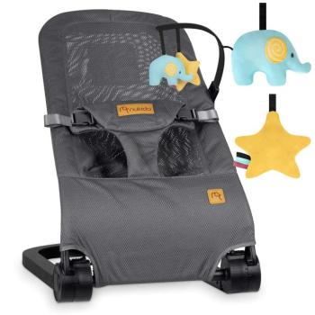 Nukido 2in1 Hintaszék játékokkal, 9kg - Szürke kép