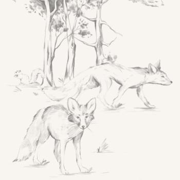 Tapeták - Erdőmotívumos gyerek tapéta kép