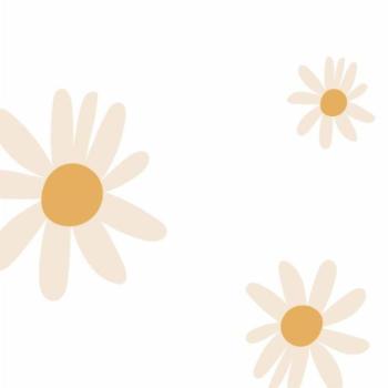 Tapeták - Fehér tapéta százszorszép motívummal kép