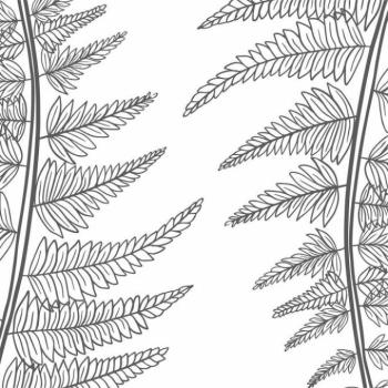 Tapeták - Tapéta a falon - páfránylevelek kép