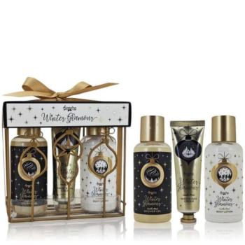 ACCENTRA Fürdőszett Winter Glamour drótkosárban Vanília és pézsma 2x 100ml + 30ml kép