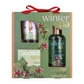 ACCENTRA Winter Spa fürdőkészlet üveggyertyatartóval Téli gyümölcs 100ml + 80g kép