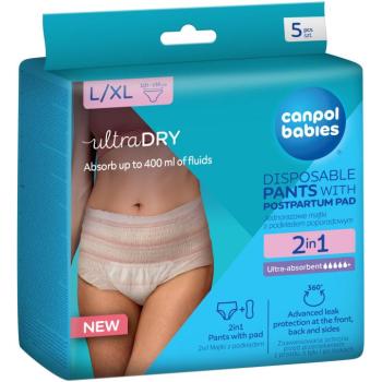 Canpol babies 2in1 Eldobható szülés utáni bugyi betéttel, L/XL, 5 db kép