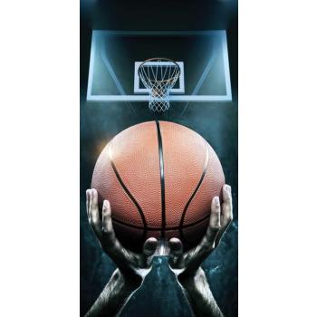 Jerry Fabrics Basketball 70×140 cm