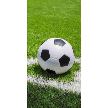 Jerry Fabrics Football 70×140 cm kép