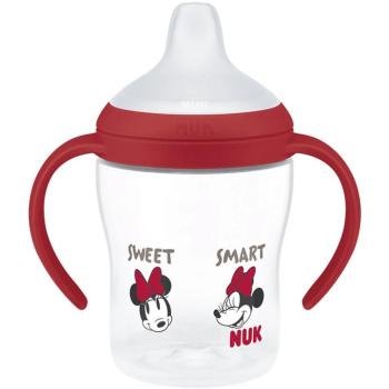 NUK Perfect Match Disney Minnie Red 150 ml kép