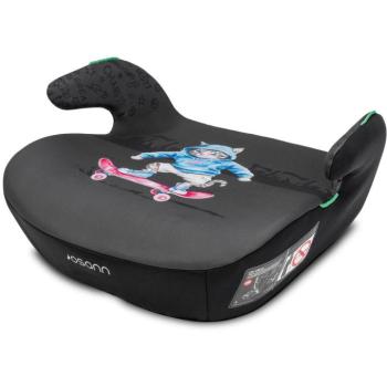 Osann Boost Cat kép