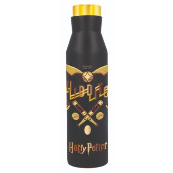 Rozsdamentes acél hőpalack Diabolo - Harry Potter, 580 ml kép
