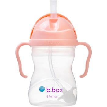 b.box Gelato Pohár szívószállal - tutti frutti 240 ml kép