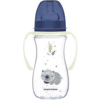 Canpol babies Sleepy Koala EasyStart kólika elleni cumisüveg 300 ml, kék kép