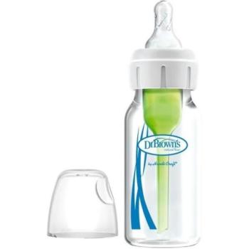 Dr. Browns üveg ÜVEG 120 ml (SB41001-P4) kép