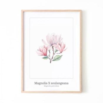 Fehér plakát, magnólia motívummal kép