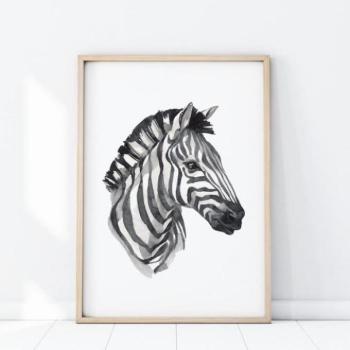 Szafari témájú poszter, zebra portréjával kép