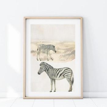 Zebra motívumú, fali plakát kép