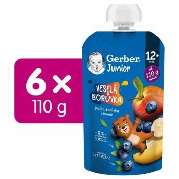 GERBER Junior tasakos gyümölcspüré, Vidám áfonya, 6x110g kép