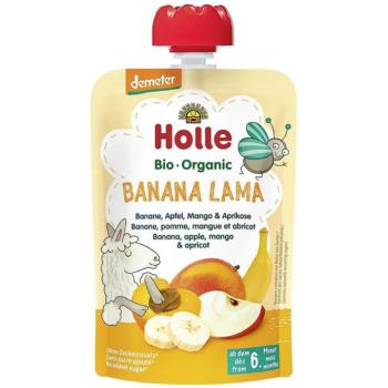 HOLLE Bio Banán, alma, mangó és sárgabarack 100 g kép