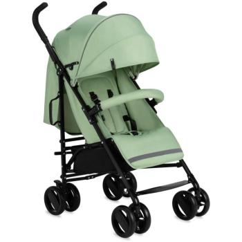 MoMi Akira 2024 zöld kép