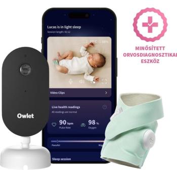 Owlet Dream Duo Mint kép